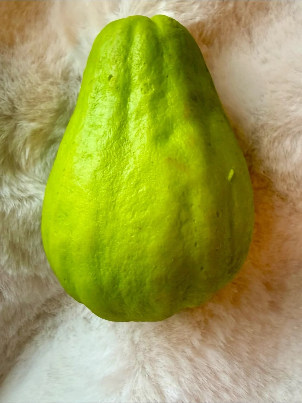 3D Realistic Chayote Coin Purse Keychain Bag Charm | Novelty Vegetable Pouch